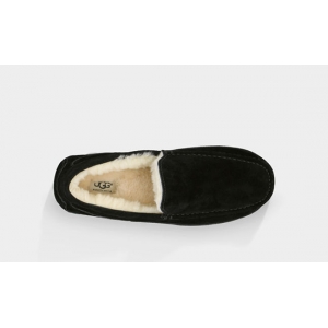 UGG Men Ascot - Black