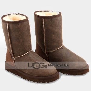 UGG Men Classic Short Bomber - Chocolate