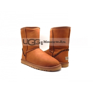 Ugg Men Classic Short Leather - Chestnut