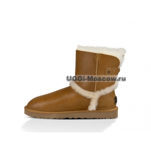 UGG Women Airehart - Chestnut